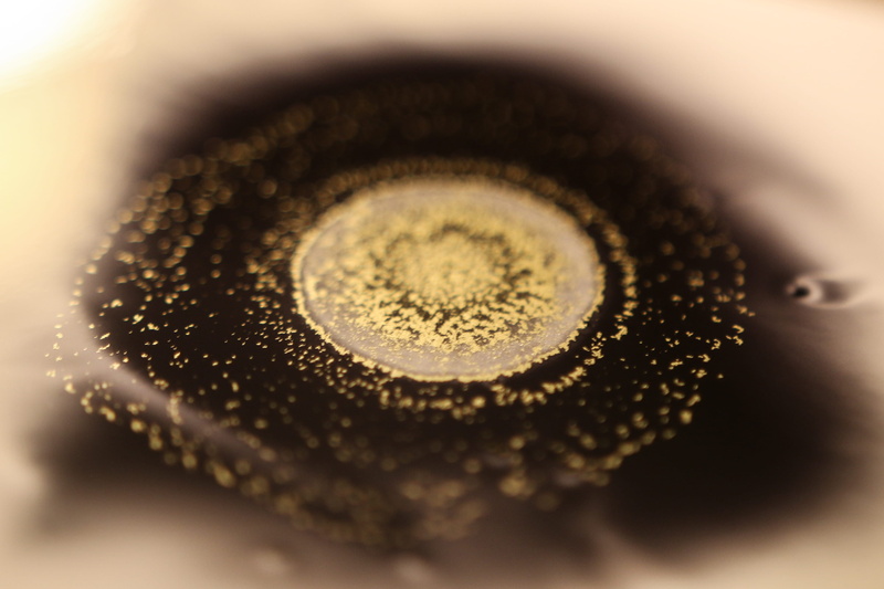 indoors, creativity, black, paper, united states, beauty in nature, eyesight, rings, yupo, painted, studio shot, security, eye, creative, intense, alcohol ink