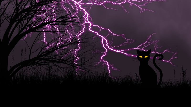 sky, night, tree, light, power, outdoors, black cat, field, creepy, plant, lightning stikes, midnight, illustration, storm, dark, illuminated, silhouette