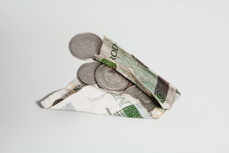 wealth, still life, finance, finance and economy, indoors, white background, currency, number, no people, pln, money, polish currency, savings, close-up