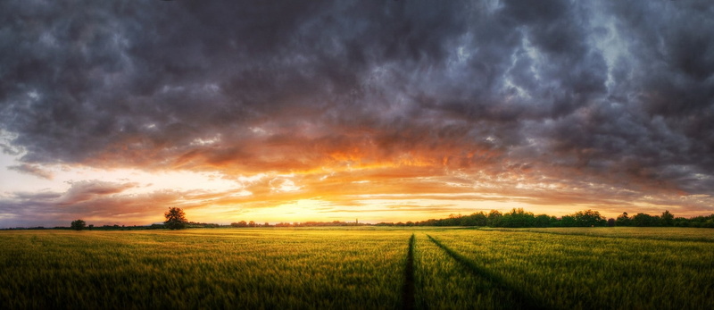 cloudscape, outdoors, rural scene, nature, rain, springtime, land, 720P, storm, plant, scenics - nature, sunset, agriculture, growth, colorful, dramatic sky