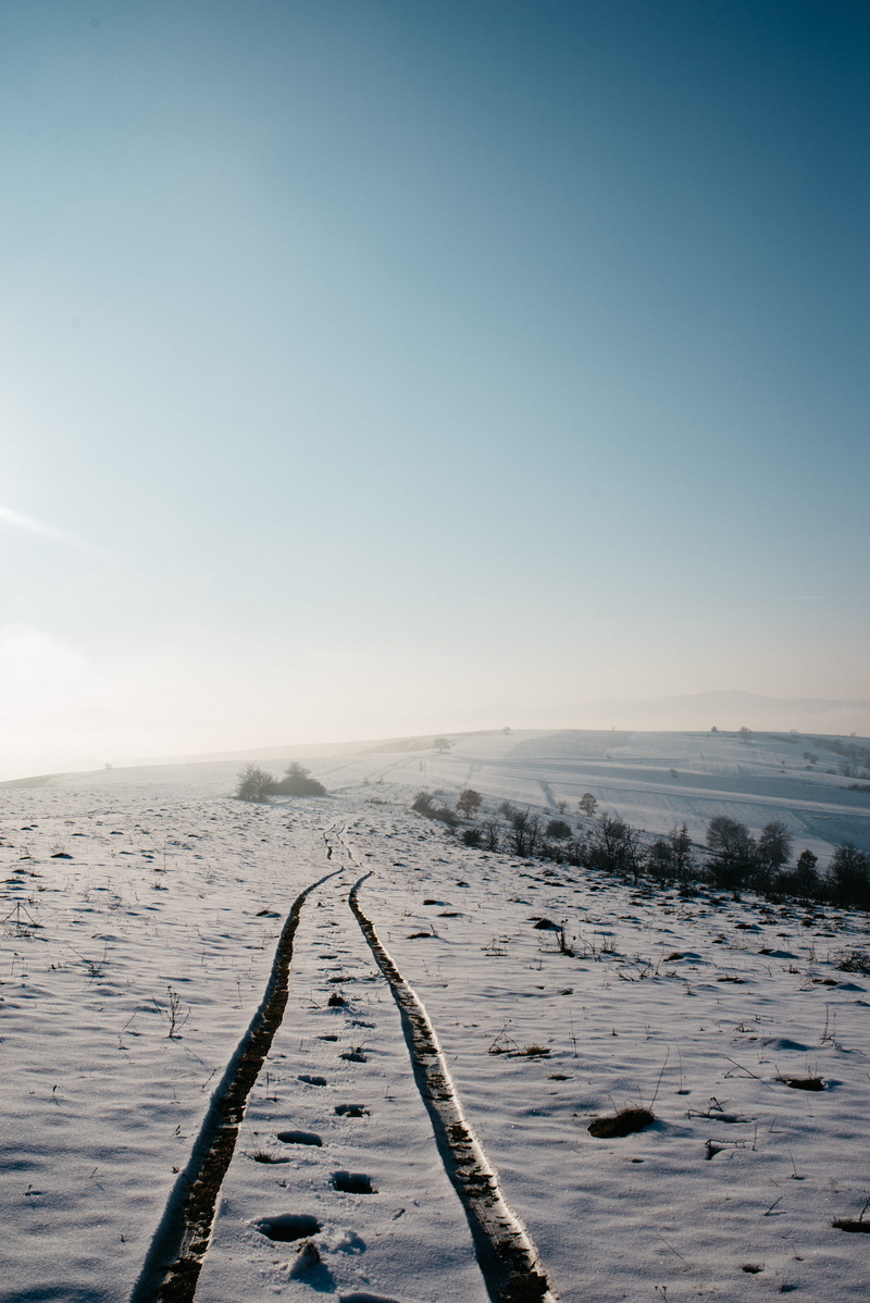 d610, vehicle, tree, beauty in nature, fir, day, soil, vegetation, copy space, plant, sand, scenery, water, non-urban scene, sky, landscape, snow, track