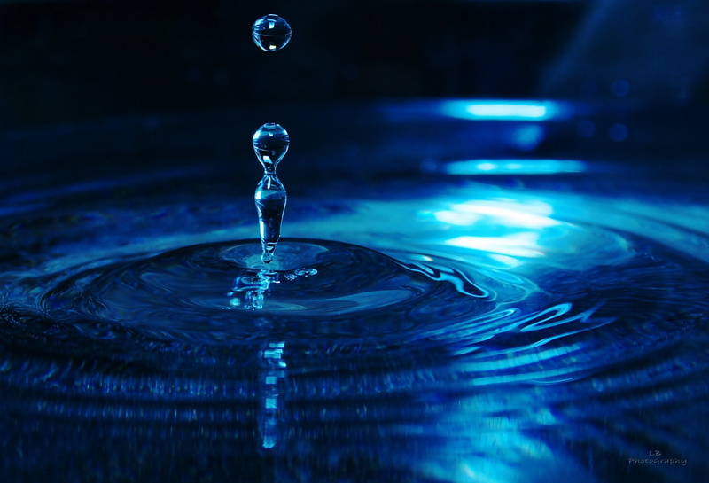 nature, water, gouttes, 1080P, zoom, drop, pluie, macro