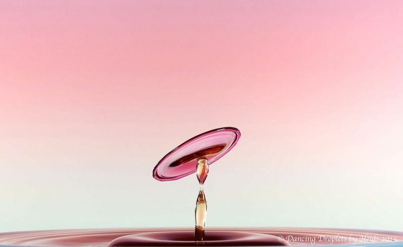 zoom, macro, water, 720P, pluie, nature, drop, gouttes