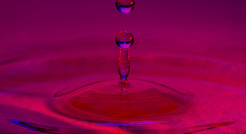 drop, pluie, flowers, nature, water, gouttes, 1080P, macro, zoom