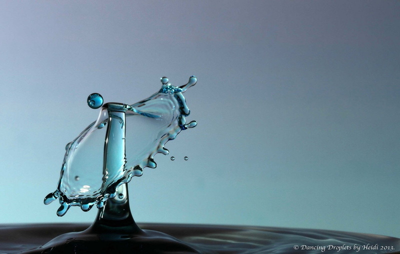 pluie, 720P, macro, gouttes, nature, drop, water, zoom