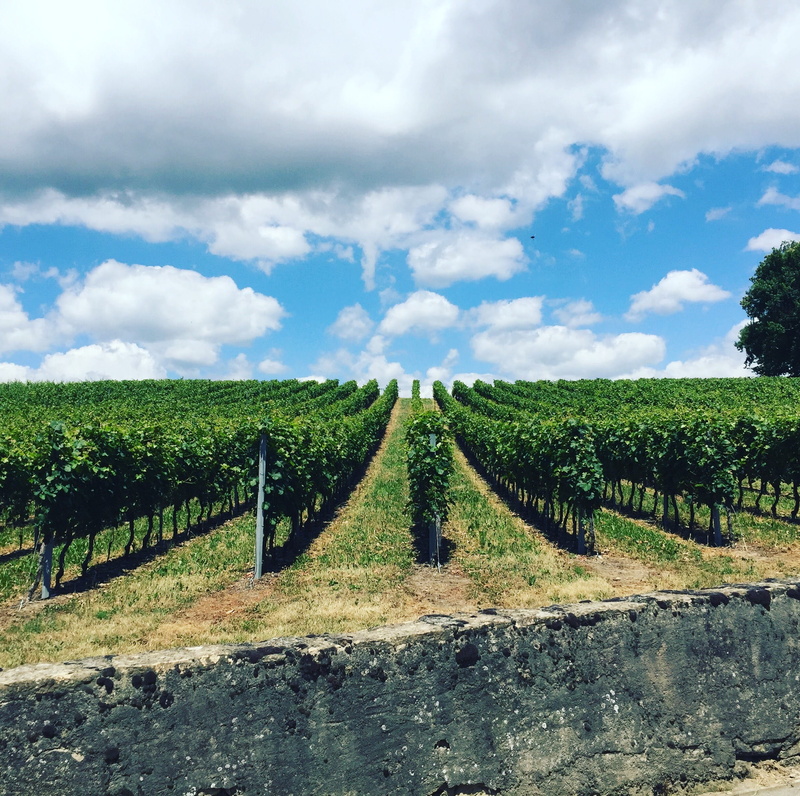 countryside, day, winery, nature, rural scene, bridge, sky, chemin de calève, woodland, beauty in nature, tranquility, winemaking, vegetation, azure sky