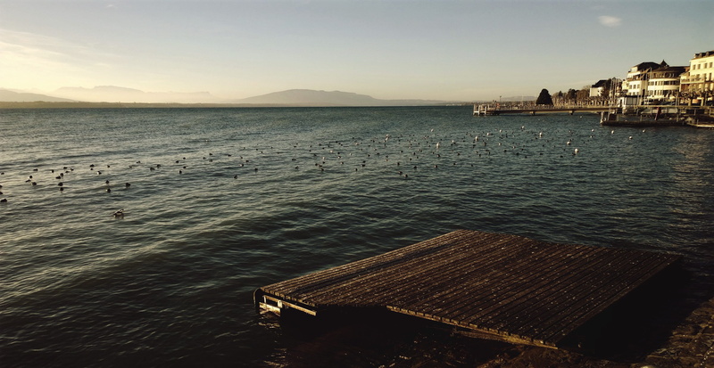 lake, atmospheric, architecture, 2K, beauty in nature, sea, Lake Geneva, no people, Nyon, sunset, morning, waterfront, building exterior, jetty, panorama