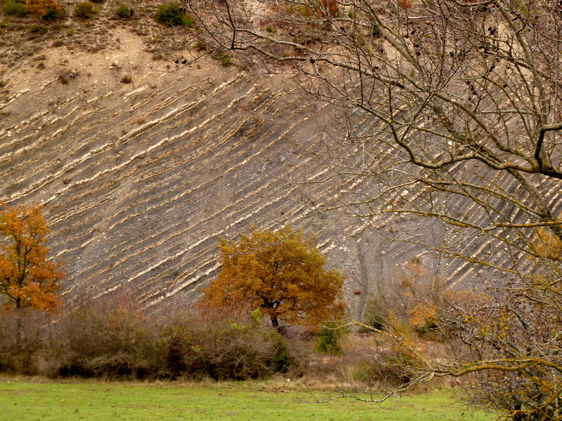 semi-arid, outdoors, no people, tree, nature, scenics - nature, geology, field, france, bare tree, nyons, environment, tranquil scene, autumn, beauty in nature