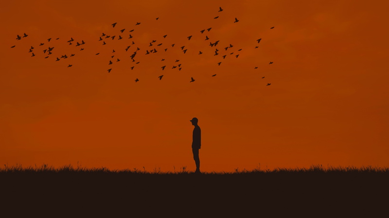person, backgrounds, 5K, flock Of Birds, animal wildlife, orange color, nature, animals In The Wild, freedom, migrating, dusk, vertebrate, silhouette