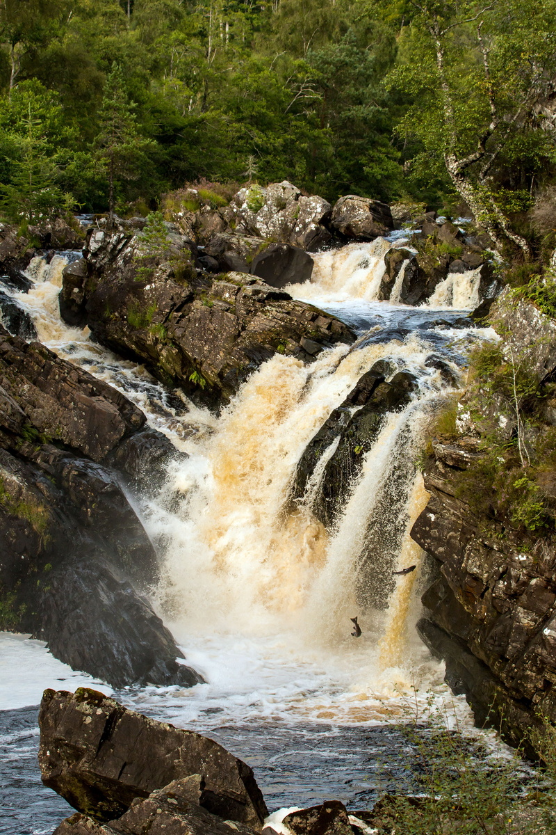 beauty in nature, outdoors, solid, falling water, water, rock - object, nature, no people, 5K, scotland, salmon migration, land, blurred motion, flowing