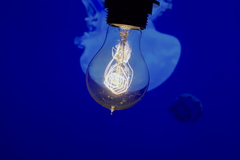 light bulb, blue, bulbs, lighting, jellyfish, close, close-up, disappearing, filament, luminosity, retro, pear, 5K, current, tank, sea life, tungsten