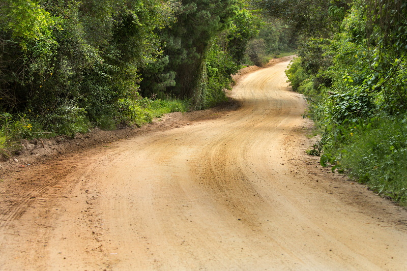 direction, dust, transport, tranquility, tree, road, rural, driving, tranquil, 5K, lonely, transportation, no people, footpath, dirt, journey, scenery