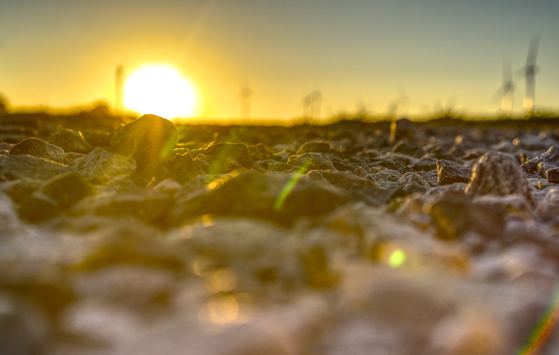 sunlight, surface level, mood, field, sunbeam, environment, tranquility, beauty in nature, hdr, plant, out of focus, close-up, land, sunset, landscape