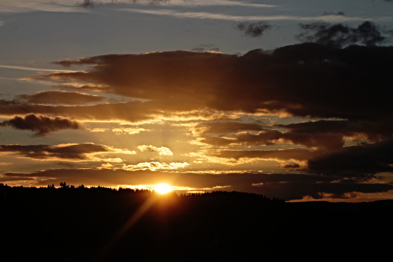 lens flare, dusk, go under, evening, sunset, no people, cloudy, dramatic sky, idyllic, sun, trees, dark, evening sky, silhouette, evening clouds, back light