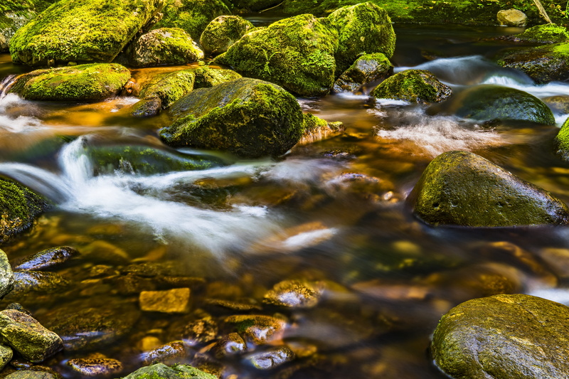 day, covered, moss, Mossy rocks, flowing, stream - flowing water, wet, long exposure, flow, stone, green color, scenic, 5K, landscape, shallow, no people