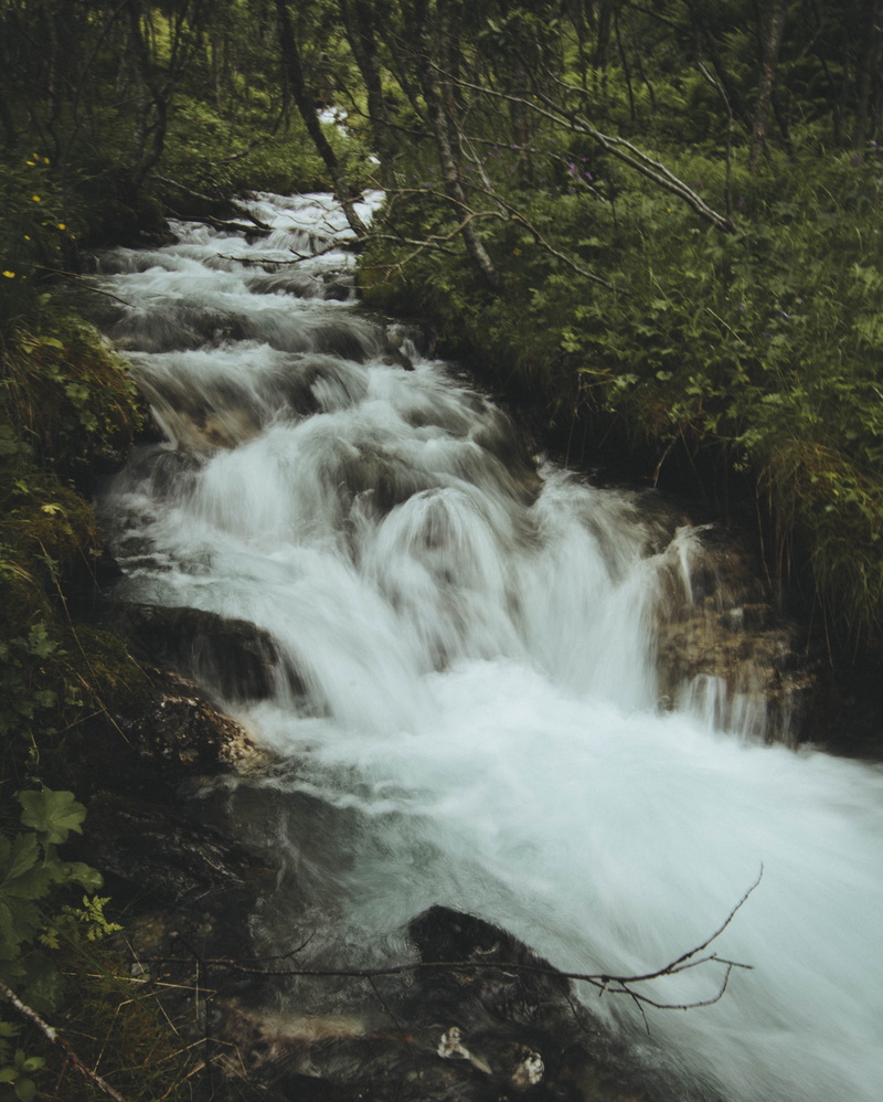 water, rock, environment, flowing water, woods, nature, rocks, no people, flowing, motion, trees, Mossy rocks, vegetation, waterfall, tree, wet, 4K, beauty in nature