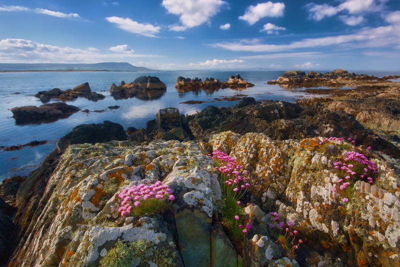 coast, ocean, high angle shot, beach, seascape, beauty in nature, summer, solid, scenics - nature, sunset, flowers, seashore, rock, rock formation, scenic