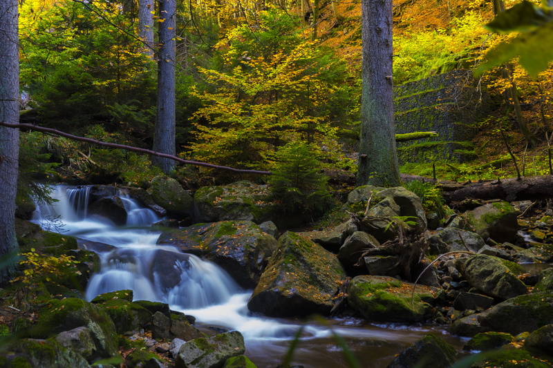 land, woodland, beauty in nature, stones, park, flow, blurred motion, green, rocks, trees, timelapse, creek, nature, flowing, flowing water
