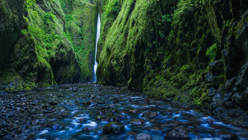 beauty in nature, long exposure, waterfall, rocky, canyon, rainforest, stream, ravine, falling water, river, forest, united states, oneonta gorge, land