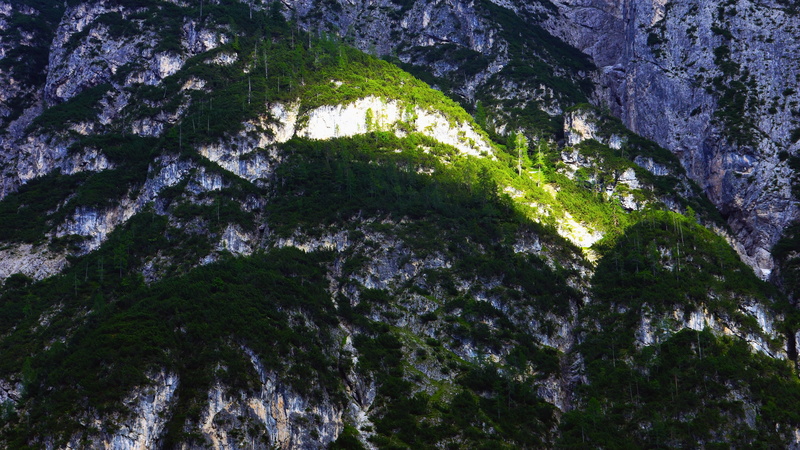 outdoors, green color, rock, lago di landro, hillside, 5K, tranquility, wood, moss, wilderness, flora, mountain, scenics - nature, full frame, conifer
