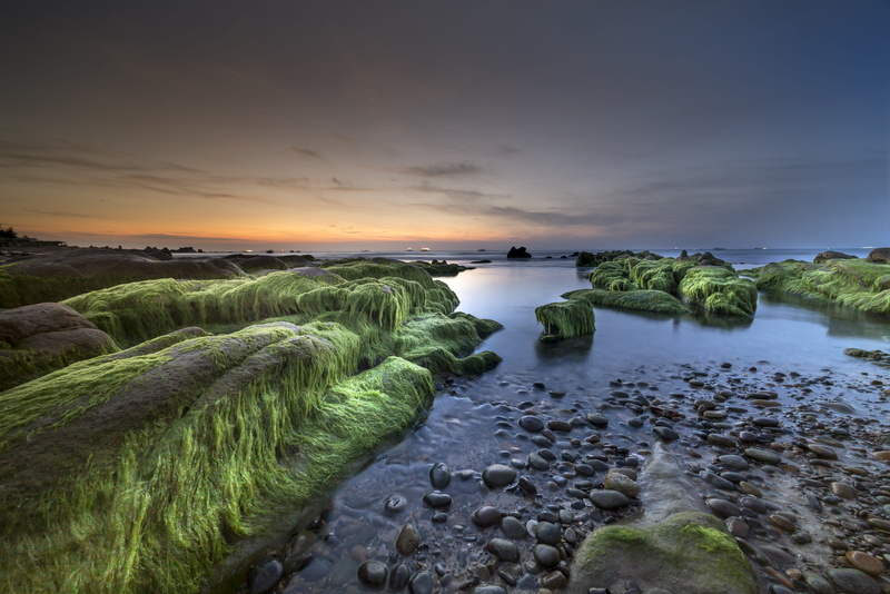 green moss, land, seashore, beach, idyllic, green color, rock - object, body, seascape, cloud - sky, no people, clouds, nature, rock, dawn, landscape, boulders