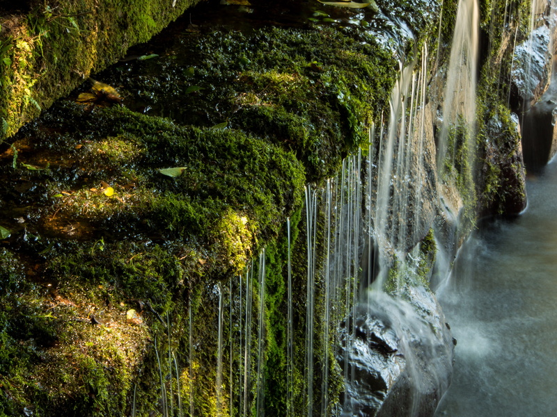 4K, beauty in nature, nature, plant, motion, forest, moss, growth, solid, no people, long exposure, outdoors, japan, falling water, tree, waterfall, rock