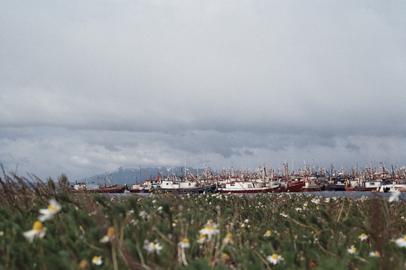 chile, puerto natales, built structure, pollution, meadow, cloud - sky, torres del paine, harbour, scenics - nature, tranquility, nautical vessel, beauty in nature