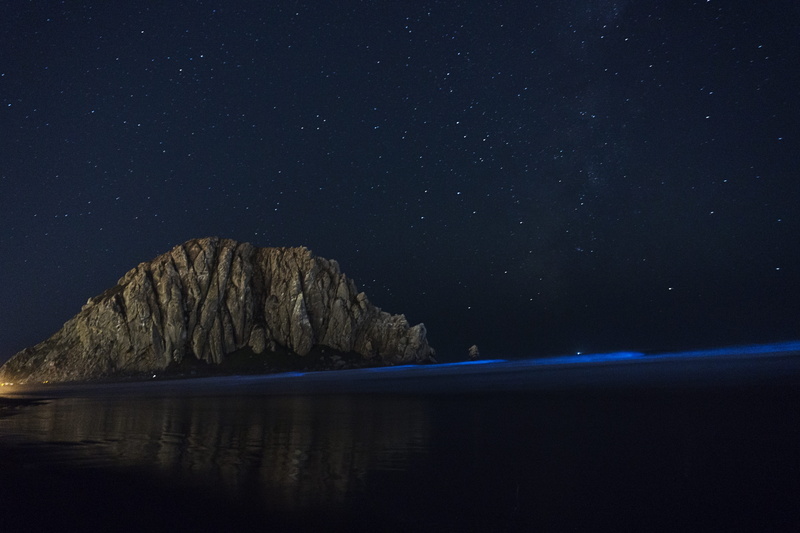 5K, star sky, star, blue waves, lake, night, morro bay, star field, waterfront, night sky, united states, glowing waves, scenics - nature, space and astronomy