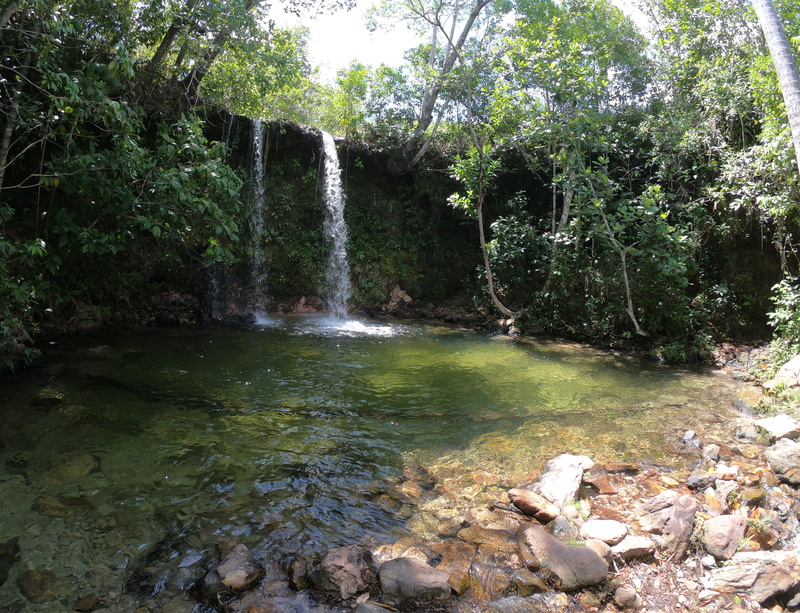 outdoors, cachoeira das araras, nature, falling water, 4K, tree, beauty in nature, forest, long exposure, rock, rainforest, brazil, water, tranquility