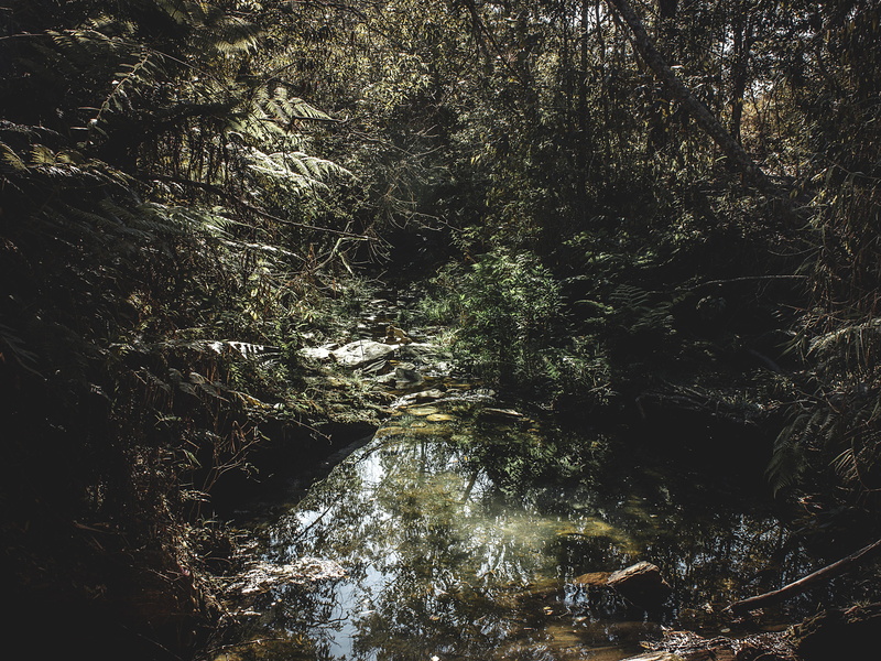 growth, day, non-urban scene, tree, cachoeira sobradinho, plant, brazil, nature, grass, green, surrounded, flora, tranquility, beauty in nature, body, flowing water