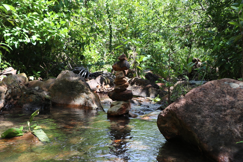 forest, waterfront, flowing water, land, stream - flowing water, water, green color, solid, scenics - nature, remote, plant, tranquility, rock, no people