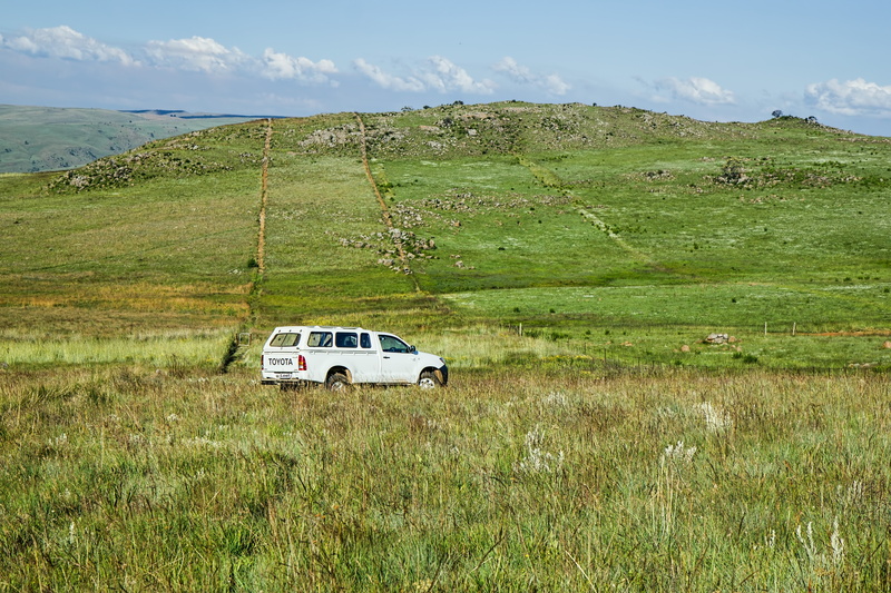 land, field, scenics - nature, scenic, solitude, mode of transportation, truck, transportation, sunny, alone, white, green color, environment, green, grassland