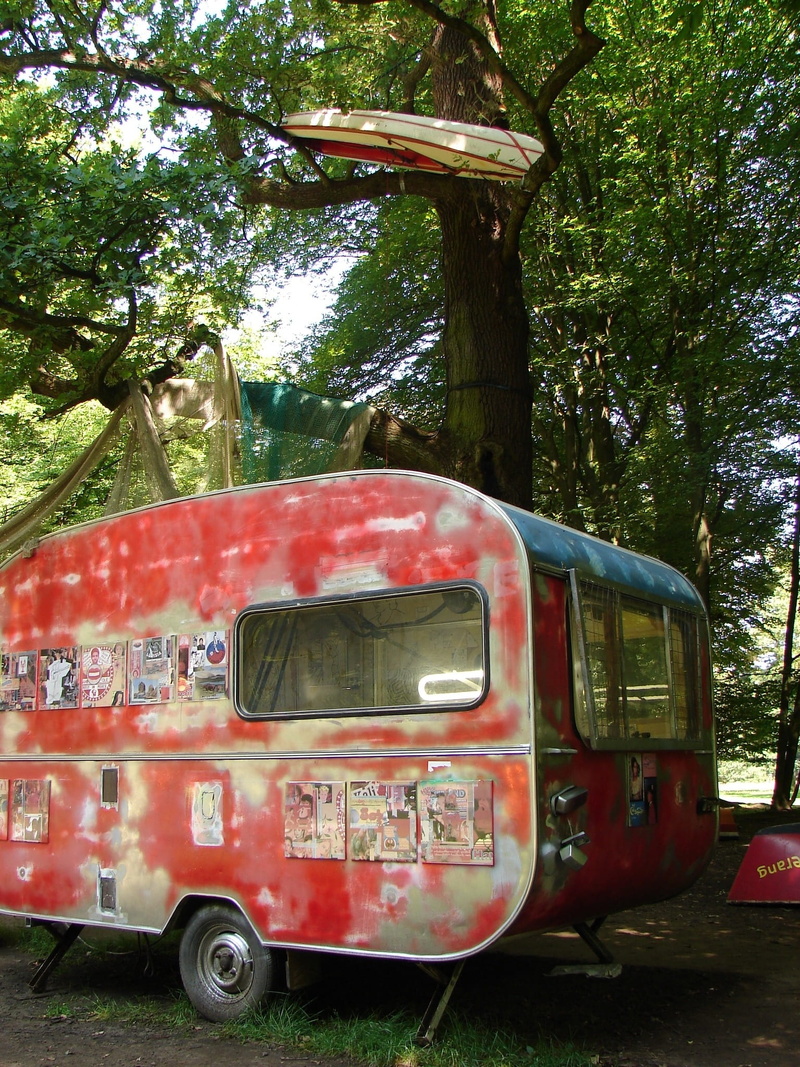 trunk, plant, tree trunk, land vehicle, camping, day, car, abandoned, outdoors, tree, mode of transportation, camper, growth, travel, nature, red, sunlight