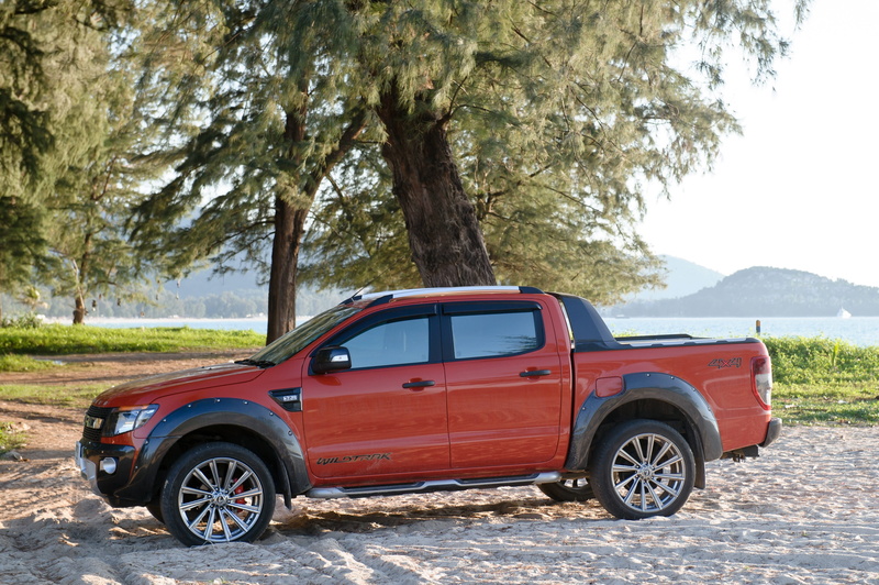 land vehicle, pickup truck, pickup, crew, no people, mode of transportation, tree trunk, trunk, wheel, beach, stationary, tree, orange, day, road trip