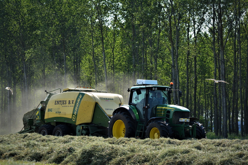 presses, entjes, harvester, farm, krone1290xc, field, tractors, transportation, big pack, holland, plant, green color, day, land vehicle, cattle feed, forest