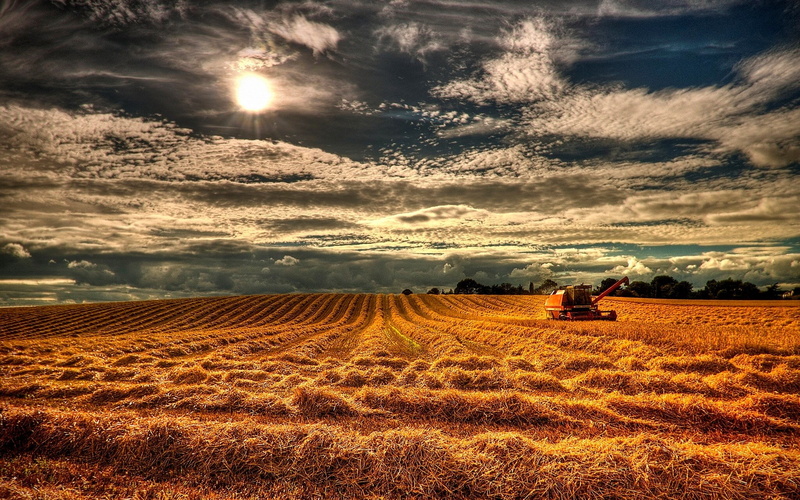 landscape, no people, sunlight, tranquil scene, 1080P, beauty in nature, land, sky, agriculture, farm, land vehicle, tranquility, environment, crop, rural scene