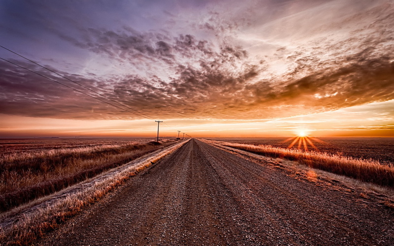 prairie grasses, dirt road, prairie, prairie fields, fields, frost, 1080P