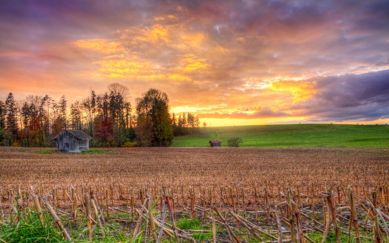 1080P, sunsets, field, nature and landscapes, prairie, sunset