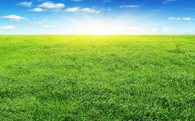 nature, sky, landscape, prairie, blue, 2K
