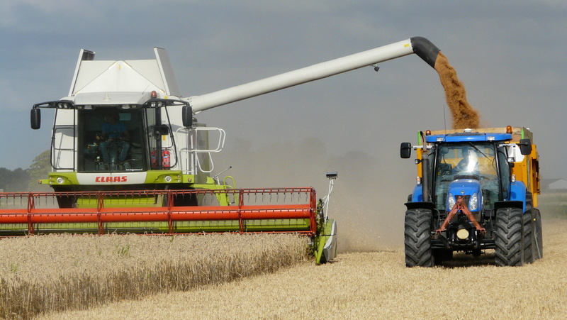 crop, agricultural vehicles, farmer, harvest, agricultural equipment, land, nature, farm, rural scene, combine harvester, harvesting, day, blue, arable farming