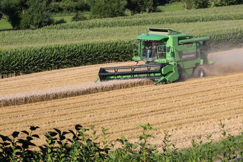 food, tractor, land, growth, cereals, combine harvester, machinery, plant, summer, harvesting, 4K, cutting, crop, cereal plant, agricultural machinery