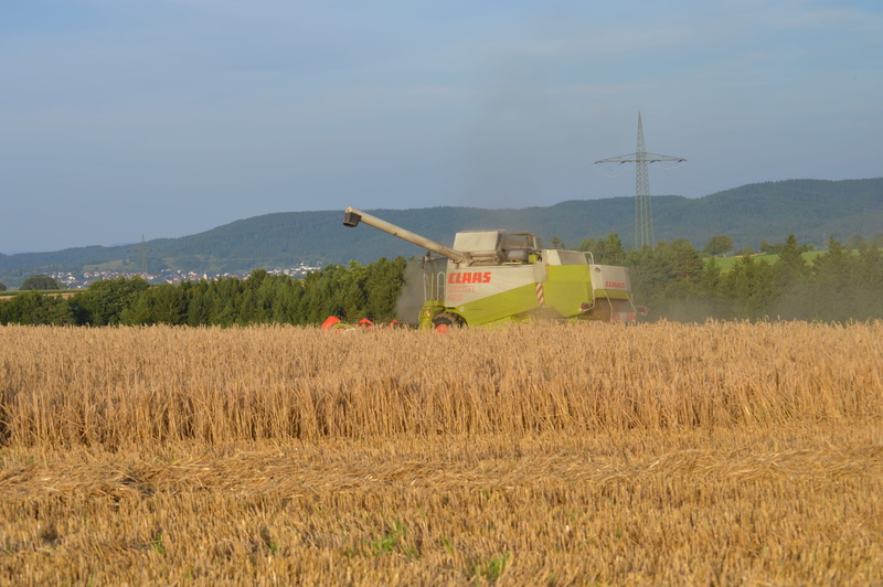 cereals, fuel and power generation, harvesting, old, agriculture, land, horizon, machine, summer, bauer, landscape, nature, round bales, field, environment