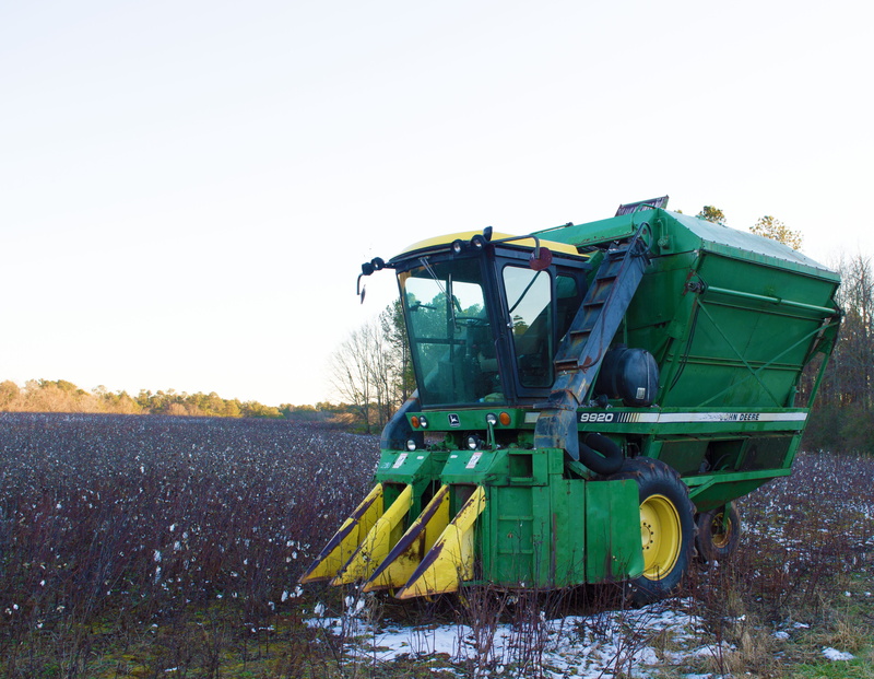 harvesting, 4K, agriculture, harvest, cotton, machine, clear sky, day, growth, field, transportation, combine harvester, rural scene, outdoors, landscape