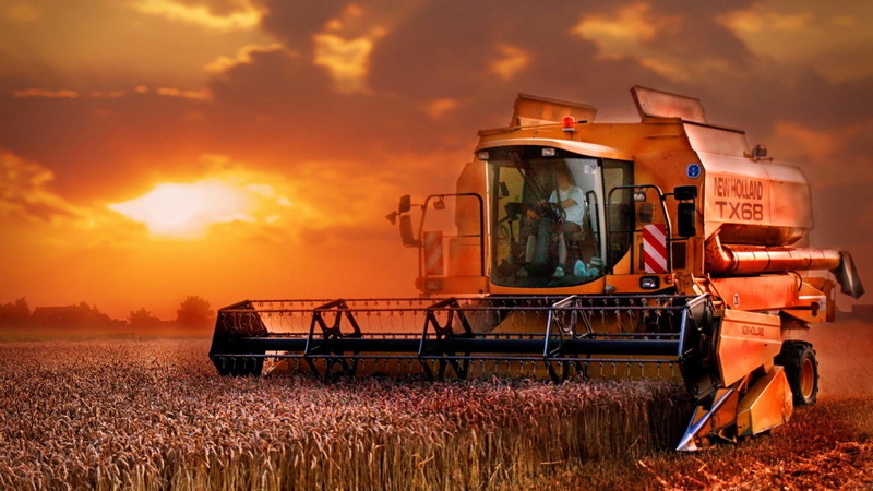 field, technics, machinery, autumn, sunset, landscape, agriculture, cereal plant, nature, cereal, mode of transportation, land vehicle, wheat, harvesting