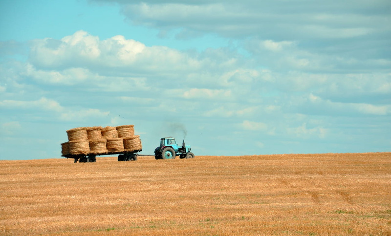 barn, mode of transportation, hays, environment, crop, color Image, brown, outdoors, beauty in nature, rural Scene, machinery, field, hay, farm, agriculture