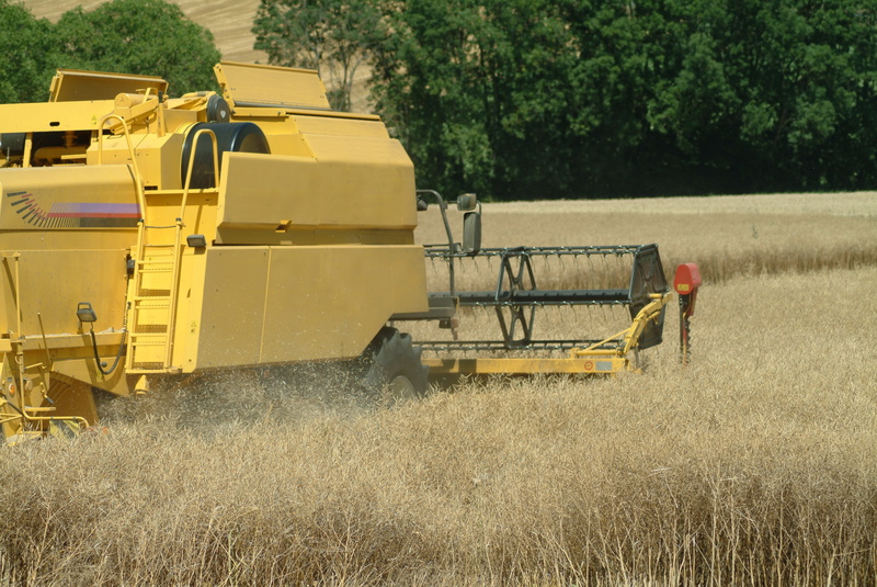 plant, nature, land vehicle, combine harvester, agriculture, landscape, combine, agricultural machinery, outdoors, reap, growth, day, machinery, environment