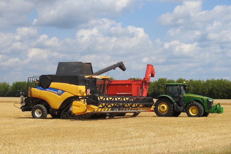 field, combine, outdoors, yellow, mode of transportation, grain harvest, near, transportation, agricultural tractor, agricultural machinery, black, harvesting