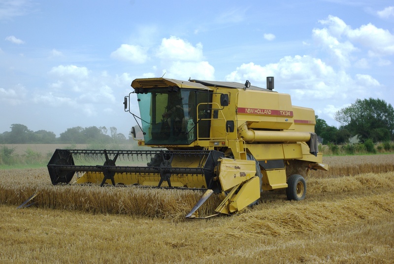 transportation, machinery, landscape, field, dog, growth, farm, farming, agricultural machinery, yellow, cloud - sky, harvest, summer, agriculture, new holland