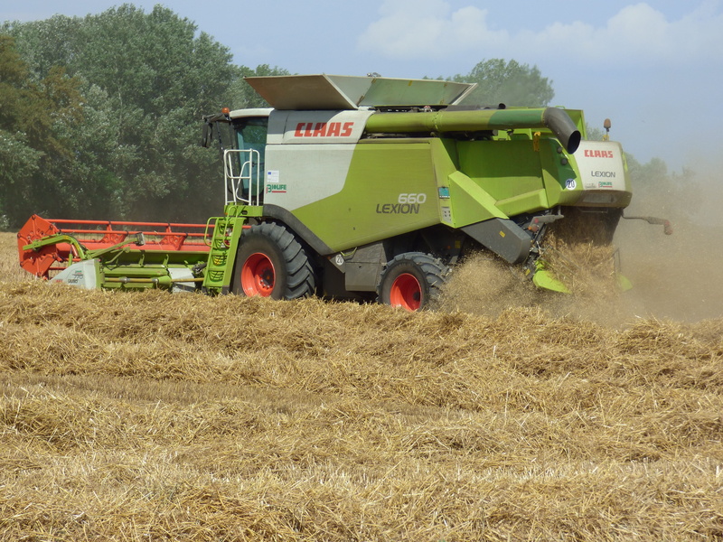 rural scene, land vehicle, field, day, growth, an island, land, Harvester, mode of transportation, Harvest, sky, harvesting, tractor, transportation, 4K