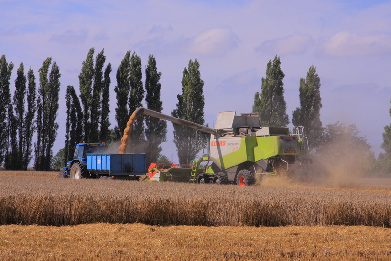 landscape, land, nature, rural scene, growth, transportation, mode of transportation, day, tree, harvesting, outdoors, Claas, farm, agricultural machinery